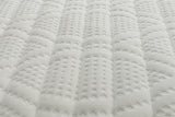 Dreamworld Calm 1000 medium-Firm Bed & Mattress Range