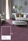 Penthouse Carpets Range