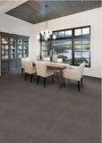 Penthouse Carpets Range