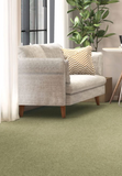 Penthouse Carpets Range